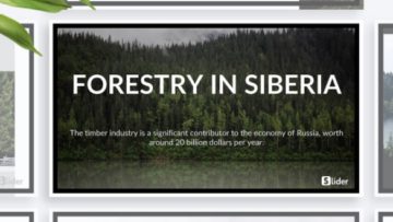 Шаблон презентации PowerPoint о природе - Forest